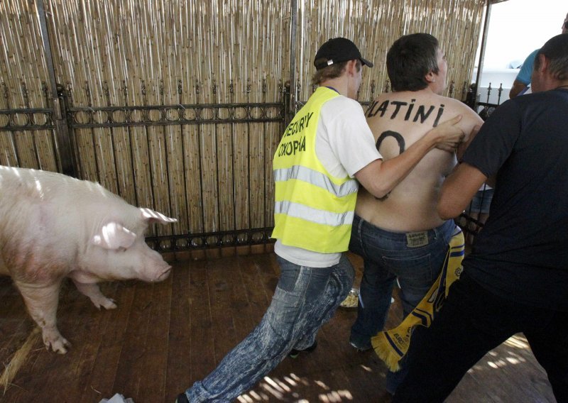 Aktivistica u toplesu napala svinju Eura
