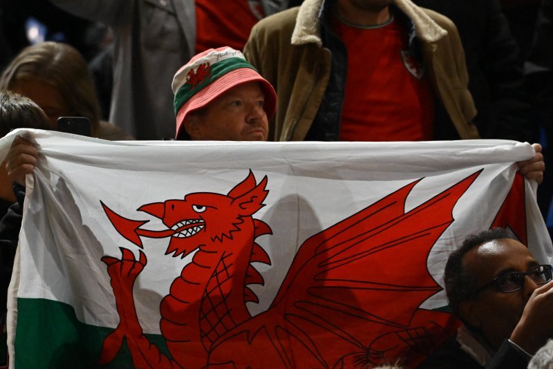 Navijači na utakmici Wales - Hrvatska